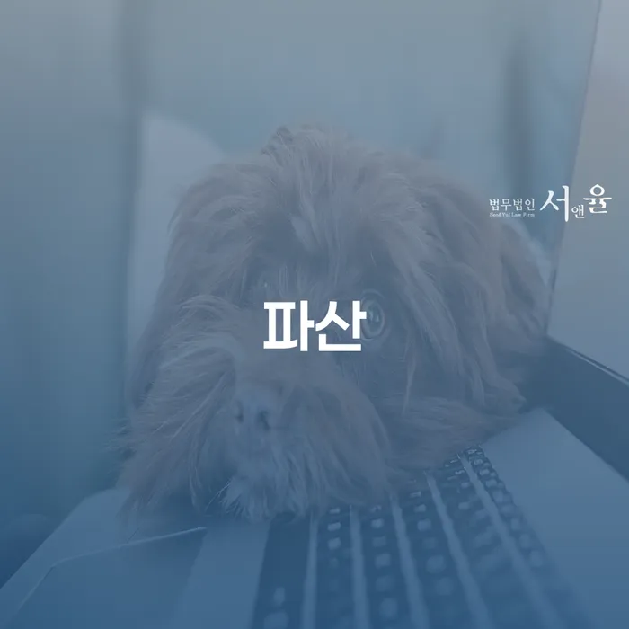 대출연체 개인회생으로 현명하게 견적체크