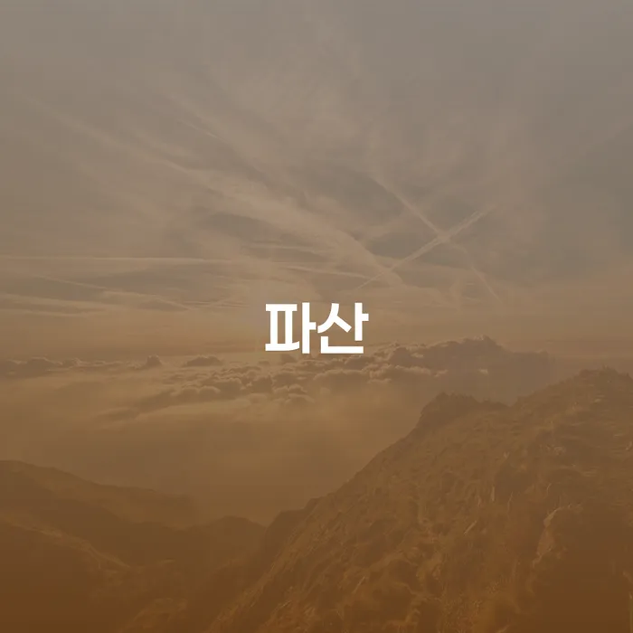 채무조정 개인회생 문제해결방법 선택해야 하는