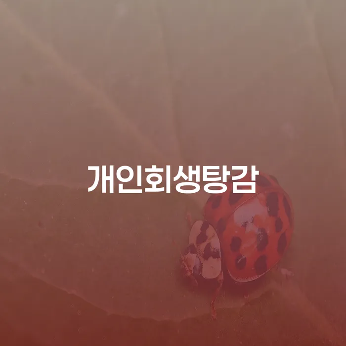 정부대환대출 연체 시 개인회생으로 현명하게 무료상담신청