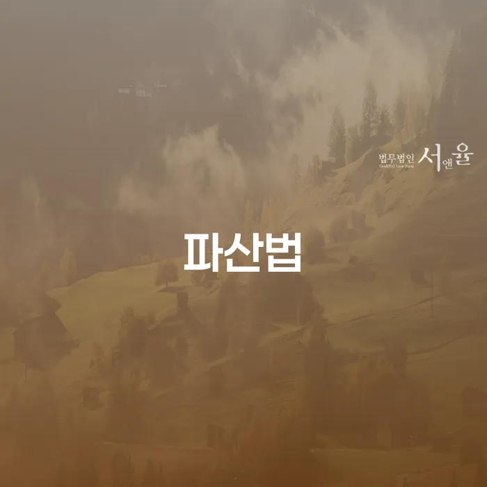 과다채무 개인회생 문제해결방법 관련정보