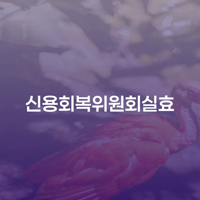 개인회생변제율 빚 해결할 관련정보