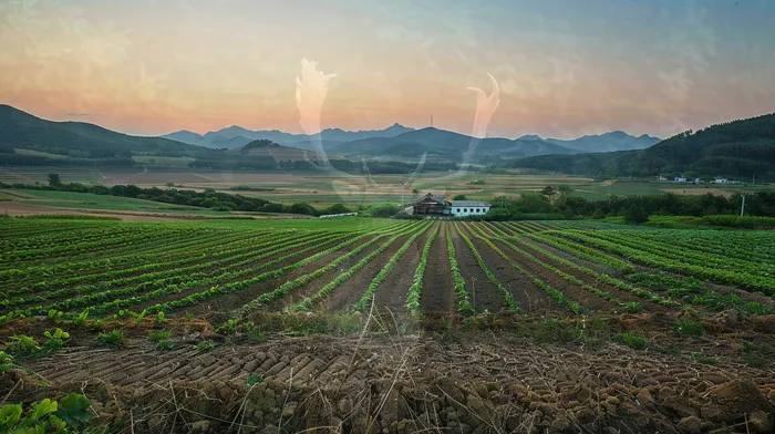 신용회복위원회실효