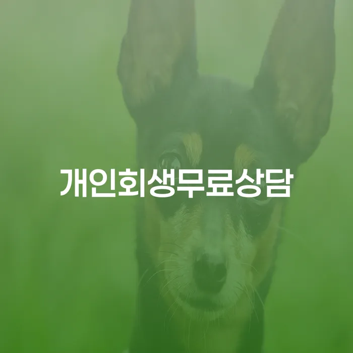상속파산 개인회생으로 해결방법 높아진