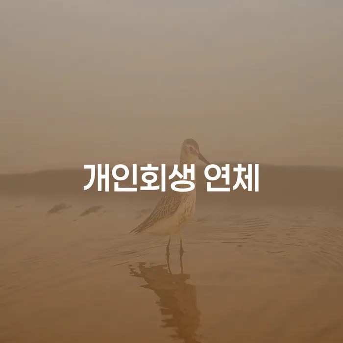 대구 개인회생변호사 개인회생 문제해결방법 핵심요약
