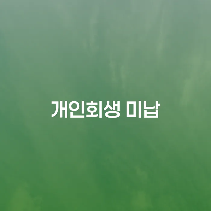 고령군 개인회생압류 개인회생으로 방법 관련정보