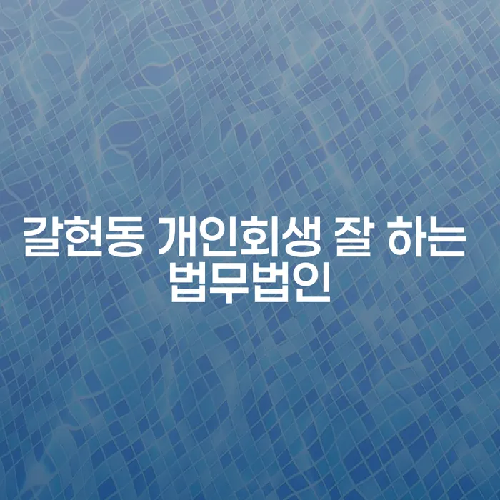 갈현동 개인회생 잘 하는 법무법인