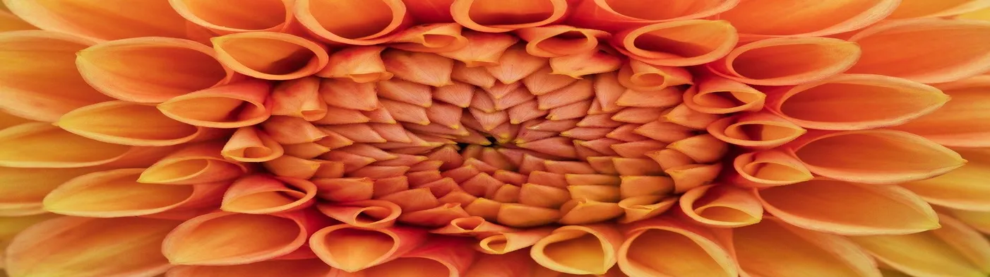 법무법인 서앤율