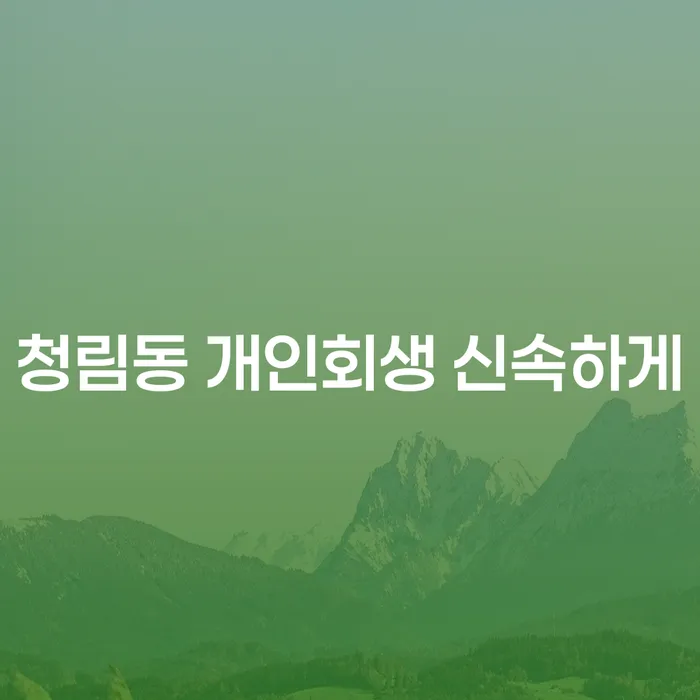 청림동 개인회생 신속하게