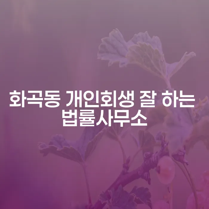 화곡동 개인회생 잘 하는 법률사무소