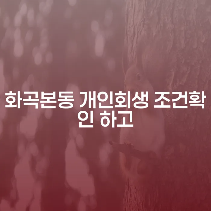 화곡본동 개인회생 조건확인 하고