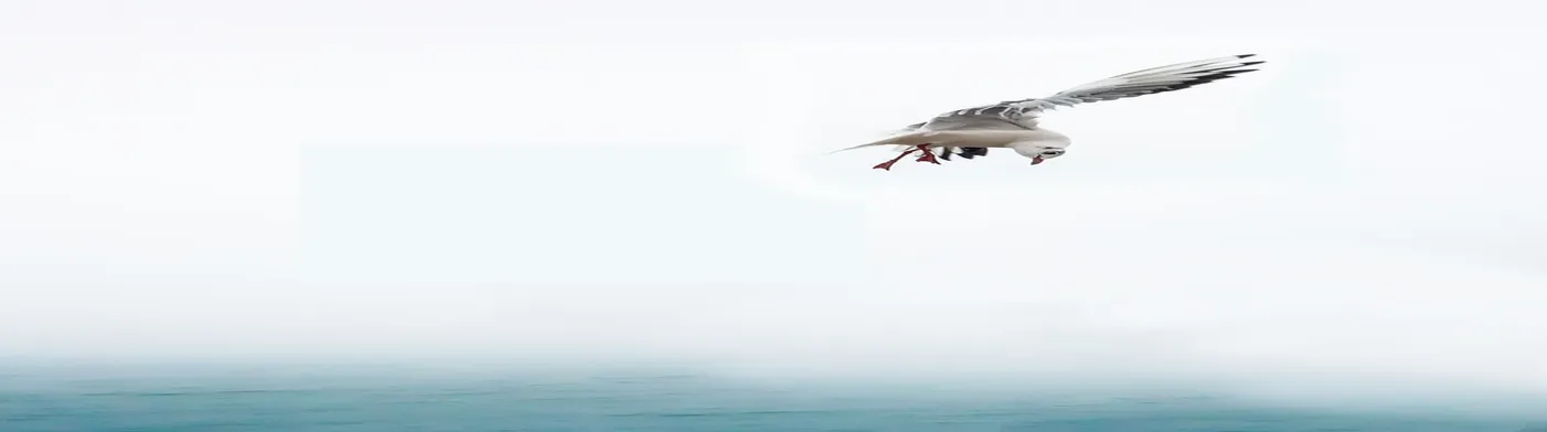 법무법인 서앤율