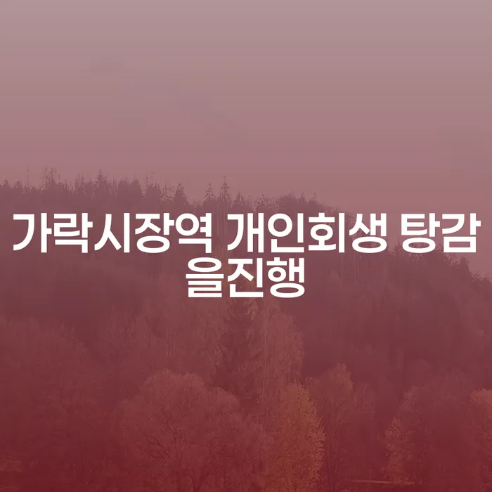 가락시장역 개인회생 탕감을진행