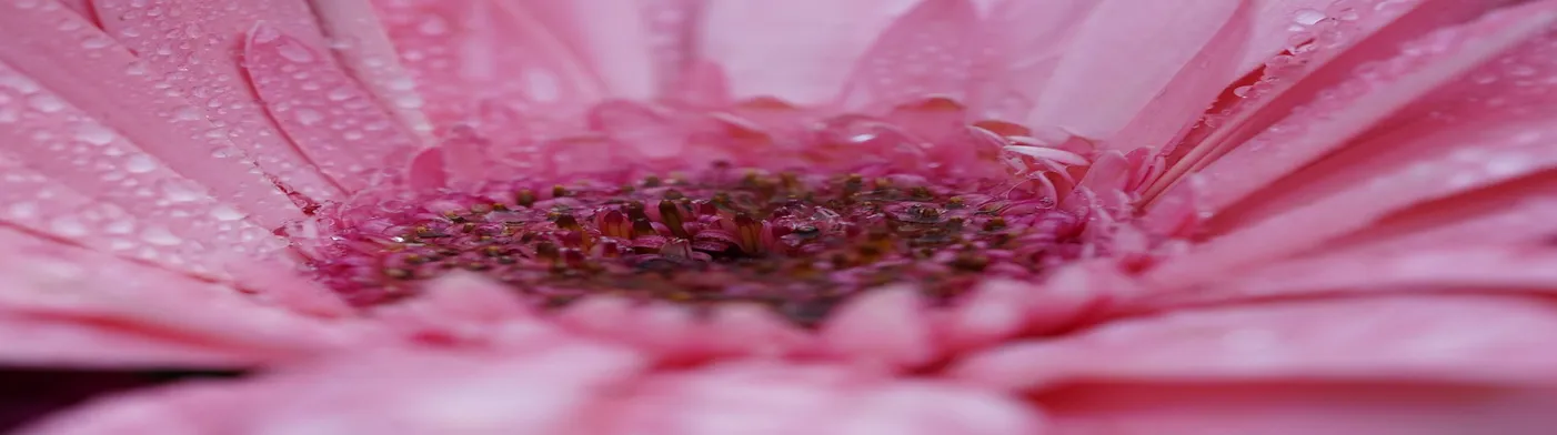 법무법인 서앤율