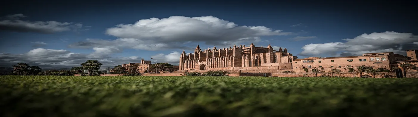 법무법인 서앤율