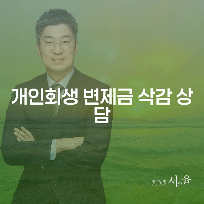 개인회생 변제금 삭감, 희망의 빛을 찾을 수 있을까요?