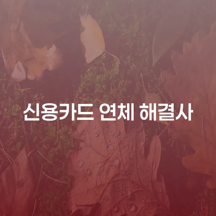 신용카드 연체 해결, 개인회생과 개인파산 어떻게 선택해야 할까요?