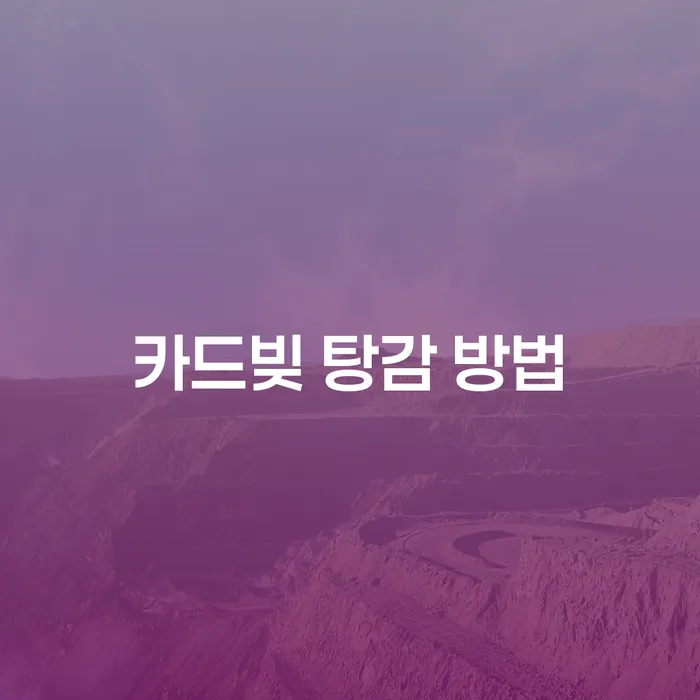 카드빚 탕감 방법을 알아보세요: 개인회생과 파산의 선택