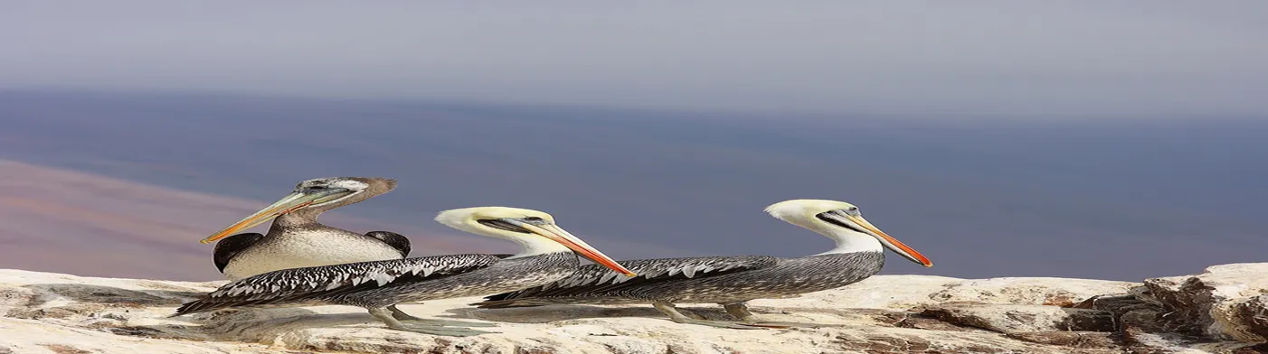 법무법인 서앤율